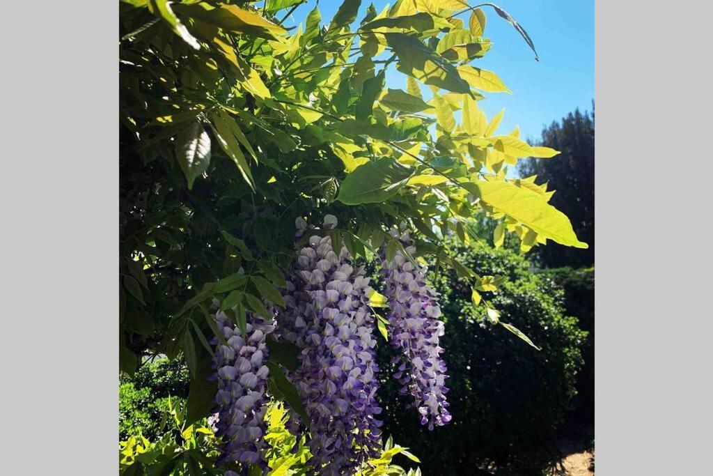Hébergement de vacances Villatullia Mit Seesicht Gardasee