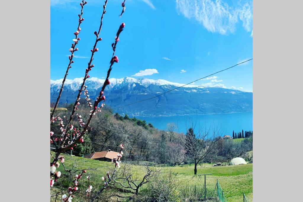 Villatullia Mit Seesicht Gardasee Holiday home *